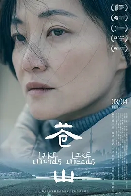 苍山 (2023)
