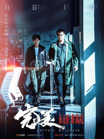完美证据 海报