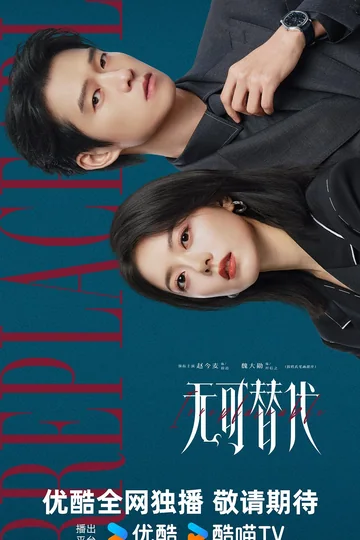 无可替代 海报