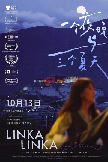 一个夜晚与三个夏天 海报