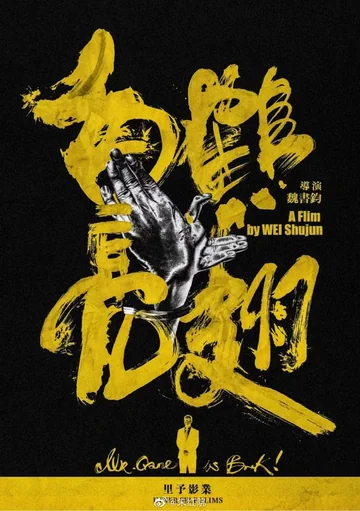 白鹤亮翅 海报