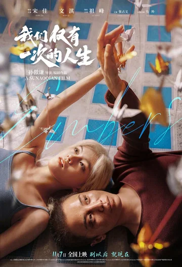 我们仅有一次的人生 海报