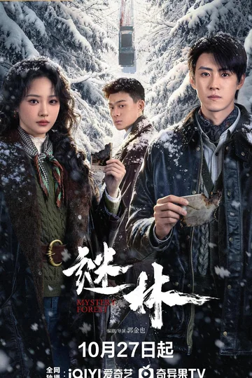 谜林 海报